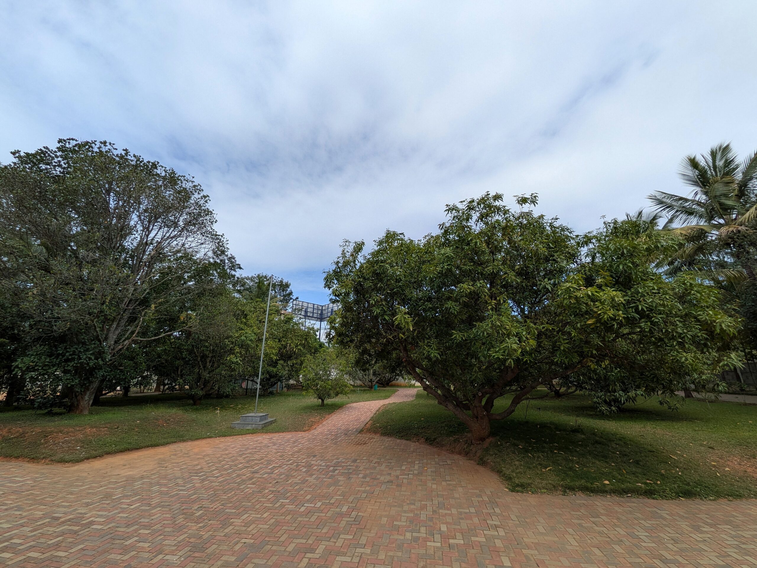 A quieter walk between classes