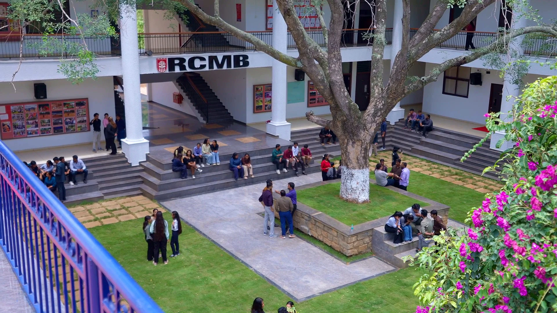 Students gathering and talking around the tree-filled RCMB campus courtyard